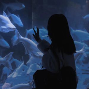 HD天美free性XXHD18
