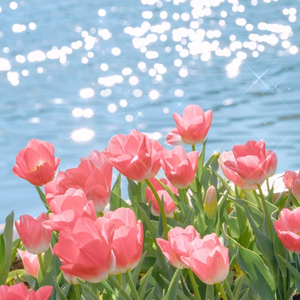 HD天美free性XXHD18
